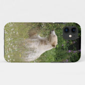 Kermode Spirit Bear Wildlife iPhone Case (Rückseite (Horizontal))