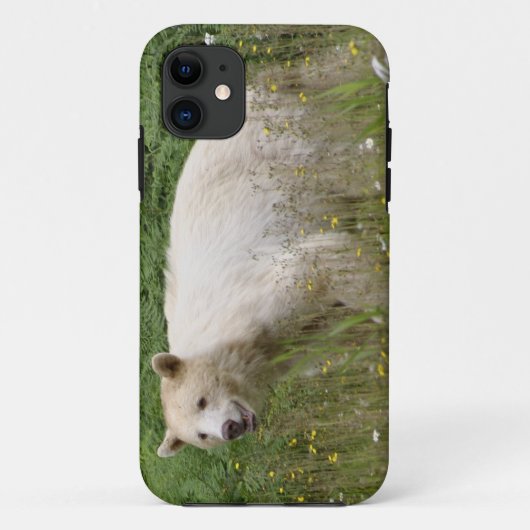 Kermode Spirit Bear Wildlife iPhone Case (Rückseite)
