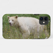 Kermode Spirit Bear Wildlife iPhone Case (Rückseite (Horizontal))