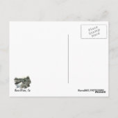 Kern River Postcard! Postkarte (Rückseite)