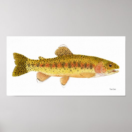 Kern River Rainbow Trout Art Poster (Vorne)