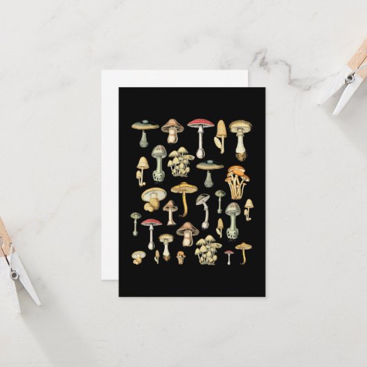 Kernästhetisches Pilz Karte (Vorderseite/Rückseite Beispiel)