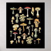 Kernästhetisches Pilz Poster (Vorne)