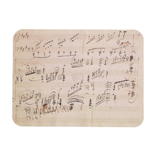 Kernblatt "Mondlicht Sonata" Magnet (Horizontal)