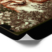 Kernfox Vintag Poster (Ecke)