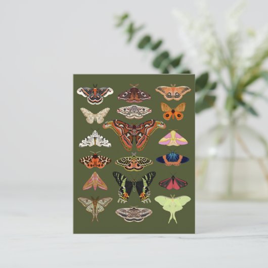 Kernmotten grün postkarte (Stehend Vorderseite)