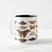 Kernmotten Zweifarbige Tasse (Vorderseite Links)