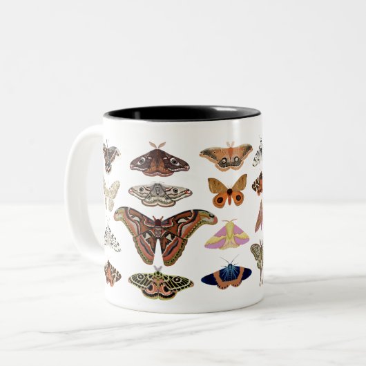 Kernmotten Zweifarbige Tasse (Vorderseite Links)