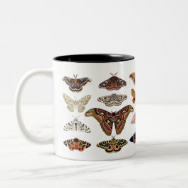 Kernmotten Zweifarbige Tasse