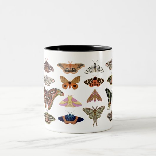 Kernmotten Zweifarbige Tasse (Mittel)
