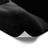 Kernwerte der Gerahmten Kunst des Weißen Horns Poster (Ecke)