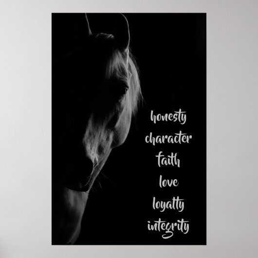 Kernwerte der Gerahmten Kunst des Weißen Horns Poster (Vorne)