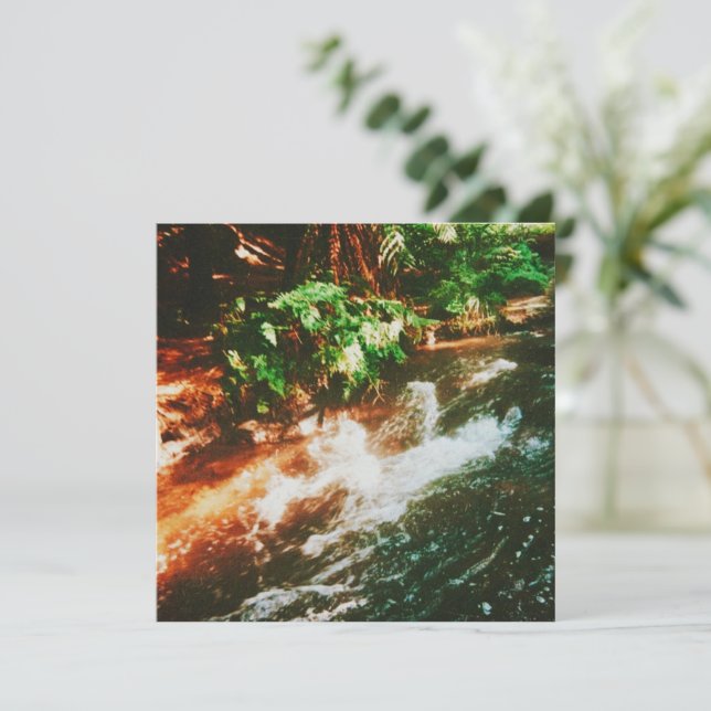 Kerosene Creek Hot Spring (Stehend Vorderseite)