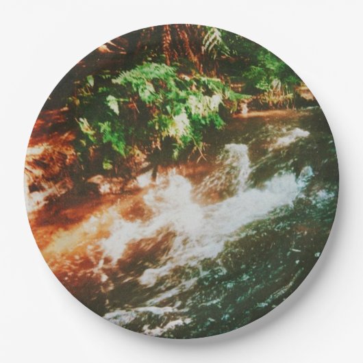 Kerosin Creek, Rotorua, Neuseeland Pappteller (Vorderseite)