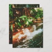 Kerosin Creek, Rotorua, Neuseeland Postkarte (Vorne/Hinten)