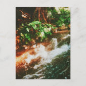 Kerosin Creek, Rotorua, Neuseeland Postkarte (Vorderseite)