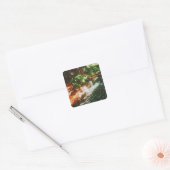 Kerosin Creek, Rotorua, Neuseeland Quadratischer Aufkleber (Umschlag)