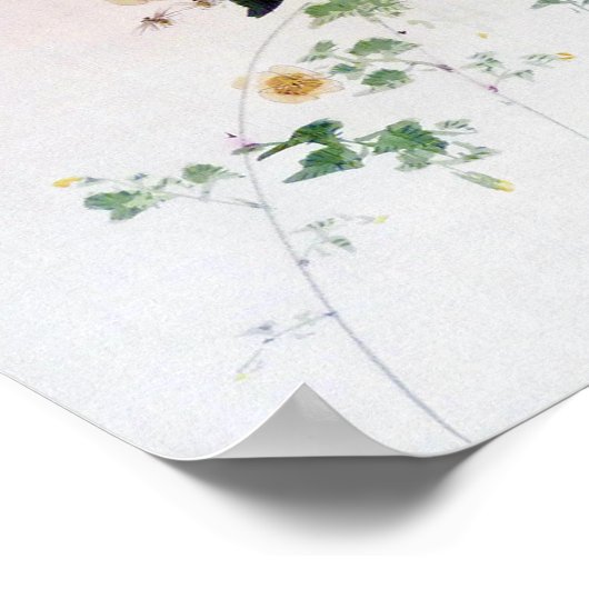 Kerria Japonica Blossom and Bee, Watanabe Seitei Poster (Ecke)