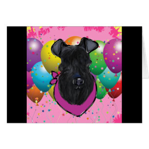 Kerry Blue Terrier Birthday