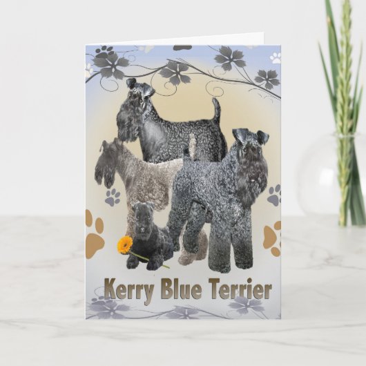 Kerry Blue Terrier Cards Karte (Vorderseite)