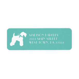 Kerry Blue Terrier Doppy Welpe