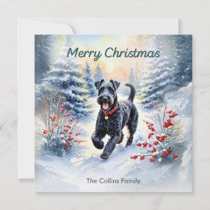 Kerry Blue Terrier im Schnee Frohe Weihnachten