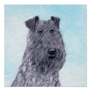 Kerry Blue Terrier Malerei Niedliche Original Dog Poster