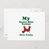Kerry Blue Terrier Postkarte (Vorne/Hinten)