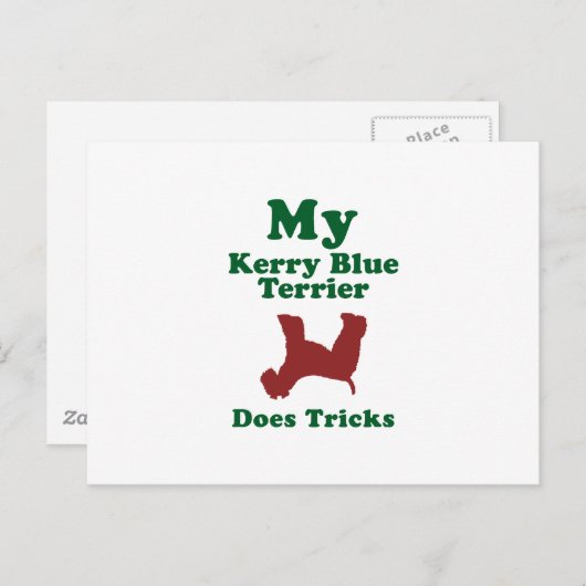 Kerry Blue Terrier Postkarte (Vorne/Hinten)