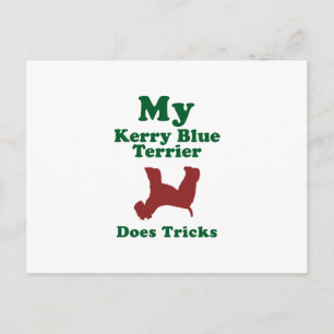 Kerry Blue Terrier Postkarte