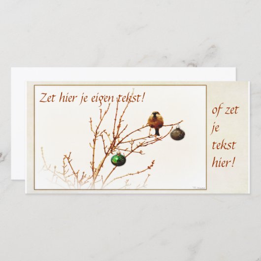 Kerst kaart / Foto kaart - Pas zelf je tekst aan! (Vorne/Hinten)