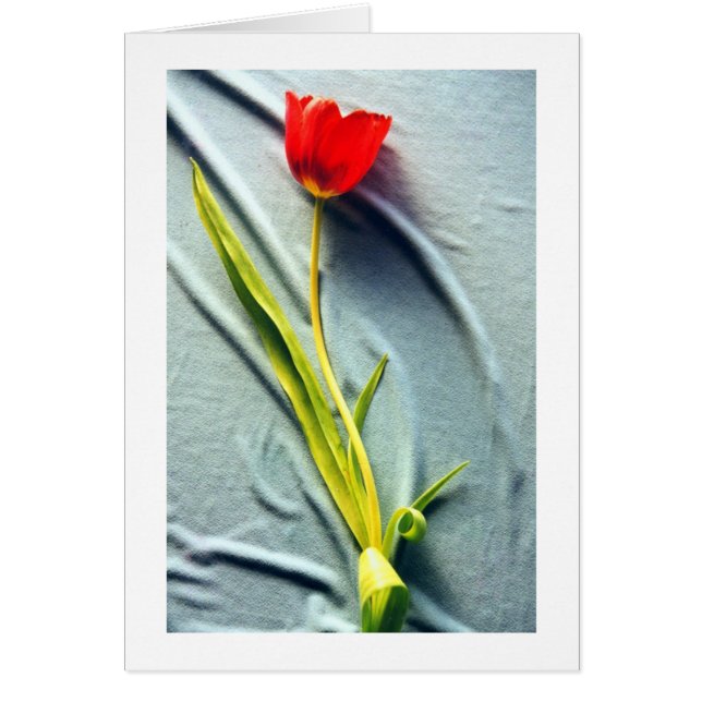 Kerstin's Red Tulip Card (Vorne)