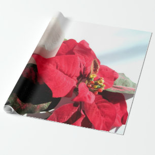 Kerze und Poinsettia zu Weihnachten Geschenkpapier