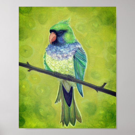 Kesha Poster (Vorne)