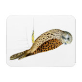 Kestrel 2011 magnet (Horizontal)
