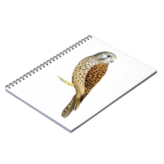 Kestrel 2011 notizblock (Linke Seite)