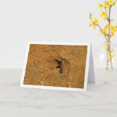 Kestrel Bird, Falco Tinnunculus Card Karte (Gelbe Blume)