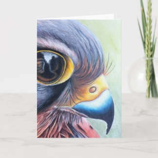 Kestrel Greetings Card Karte