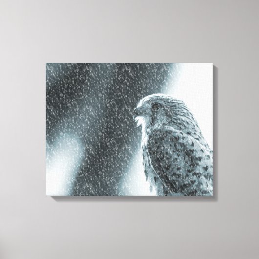 Kestrel im Schneesturm Leinwanddruck (Vorderseite)