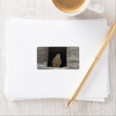 Kestrel in a small wall opening in the old church adressaufkleber (Insitu)