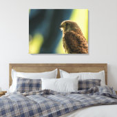 Kestrel in Gefangenschaft Leinwanddruck (Insitu (Schlafzimmer))