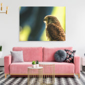 Kestrel in Gefangenschaft Leinwanddruck (Insitu (Wohnzimmer))