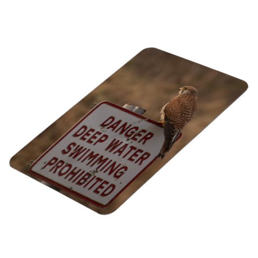 Kestrel Magnet (Linke Seite)