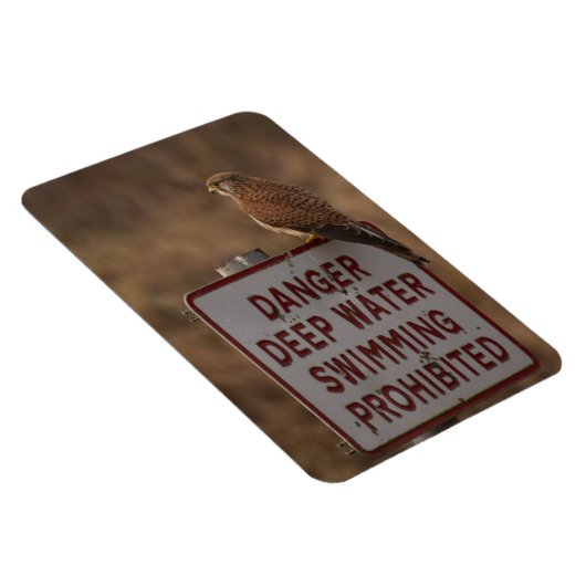 Kestrel Magnet (Rechte Seite)