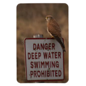 Kestrel Magnet (Vertikal)