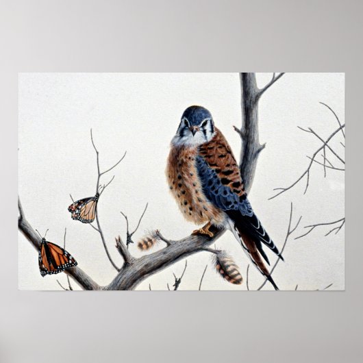 Kestrel Poster (Vorne)