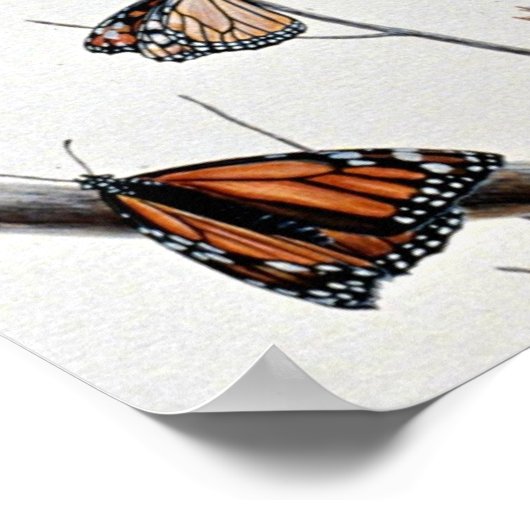 Kestrel Poster (Ecke)