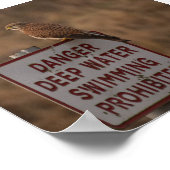 Kestrel Poster (Ecke)