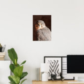 Kestrel Poster (Heimbüro)