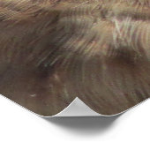 Kestrel Poster (Ecke)